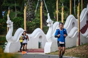 BIB: 
                            <button type="button" onclick="openModal(22504360)" class="btn btn-primary btn-sm float-right btn-popup" data-toggle="modal" data-target=".modal-high-quality">
                        <i class="fas fa-shopping-cart"></i> Add to Cart
                    </button>
                                            <button type="button" onclick="isThisMe(22504360, true)" class="btn btn-success btn-sm float-right btn-popup btn-isme hidden" data-toggle="tooltip" data-placement="bottom" title="นี่คือรูปของคุณใช่ไหม คลิกที่นี่เพื่อเอาเข้าอัลบั้ม">
                        <i class="fas fa-plus"></i> Add to album
                    </button>
                    <button type="button" onclick="isThisMe(22504360, false)" class="btn btn-warning btn-sm float-right btn-popup btn-isnotme hidden">
                        <i class="fas fa-ban"></i> Remove from album
                    </button>